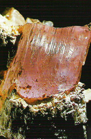 Cristal de morganite sur de l'albite (15 mm). Italie.