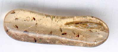 Copal fourmis